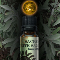 Sacred White Sage World Oil